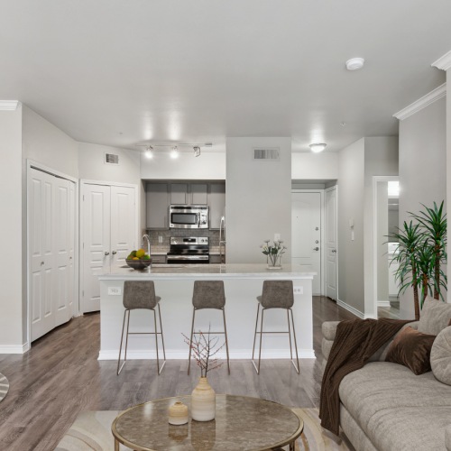 Kitchen/Living  Kitchen/Living